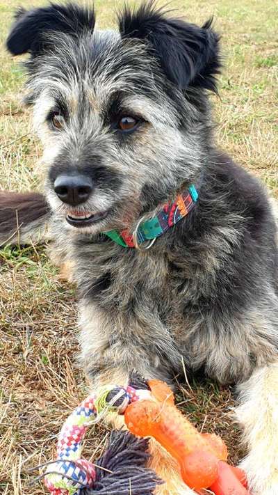 Fotochallenge Nr. 67: Euer Lieblingsbild-Beitrag-Bild