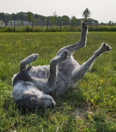 Fotochallenge Nr.65-Beitrag-Bild