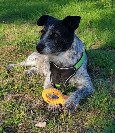 Fotochallenge Nr. 64-Beitrag-Bild