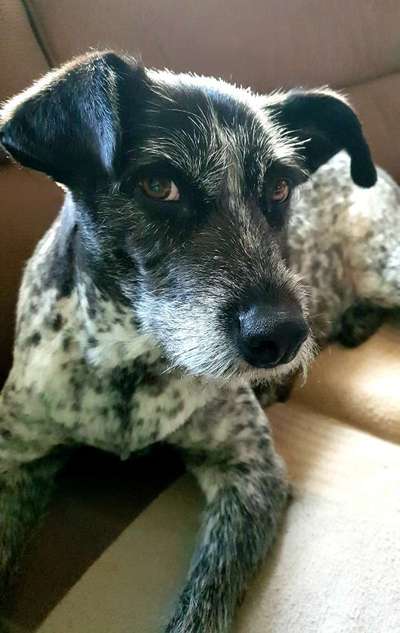 19. Farben  Fottochallenge :
Lieblingsfarbe-Beitrag-Bild