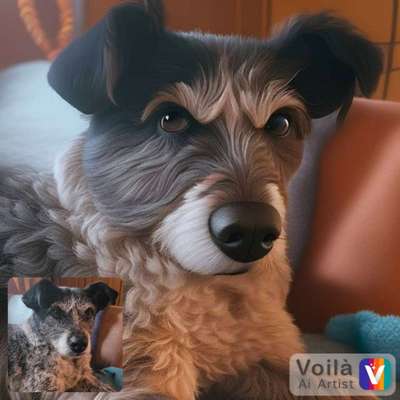 Voila app Bilder-Beitrag-Bild