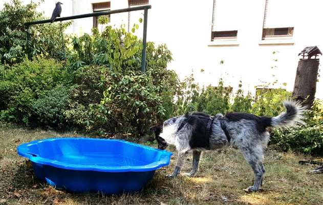 Fotochallenge 27-Beitrag-Bild