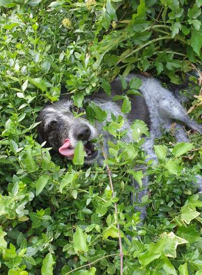 Fotowettbewerb Natur-Beitrag-Bild