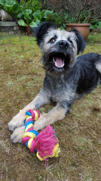 Fotochallenge Nr. 47 - Zeigt die Zähne-Beitrag-Bild