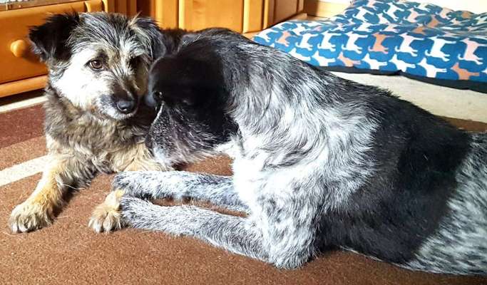 Challenge 30  Freundschaft-Beitrag-Bild