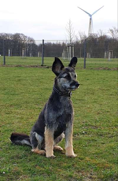 Fotochallenge Nr 50 Vom Winde verweht-Beitrag-Bild