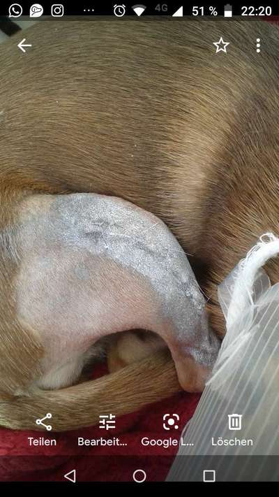 Patellaluxation-Beitrag-Bild