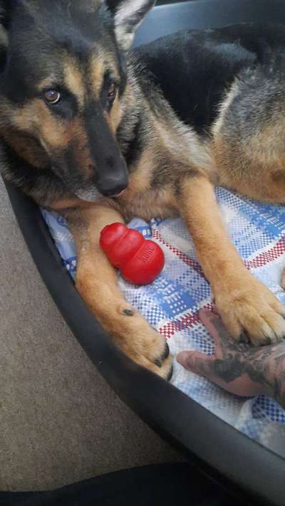 Lieblingsbild :D-Beitrag-Bild