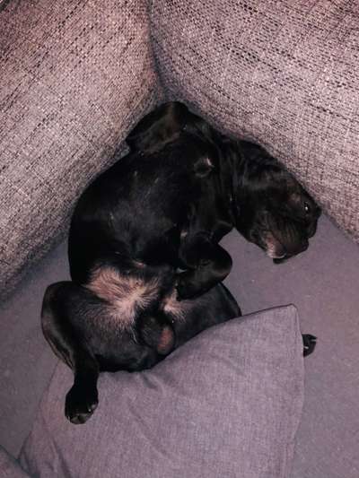 Fotochallenge Nr.65-Beitrag-Bild