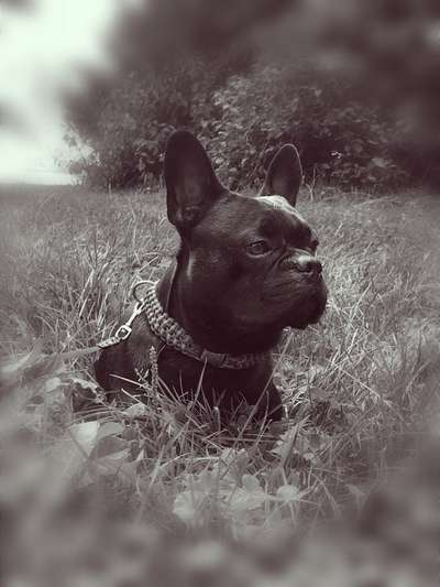 Foto-Challenge 76: Foto in Schwarz-Weiss-Beitrag-Bild