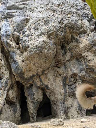 154. FotoChallenge * AUFS BILD GEMOGELT *-Beitrag-Bild