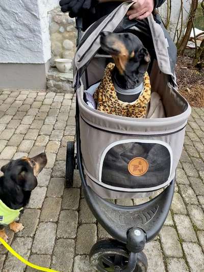 CHALLENGE NR. 18 - ON TOUR-Beitrag-Bild