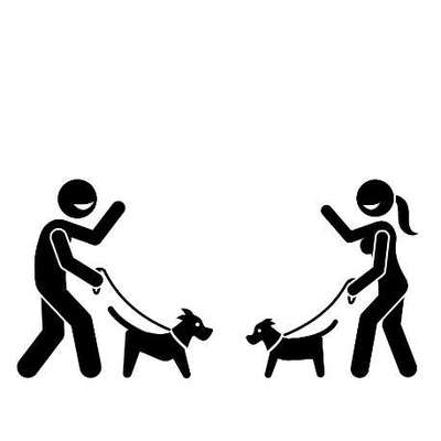 Hundetreffen-Welpen/Junghunde/Spielkameraden-Bild