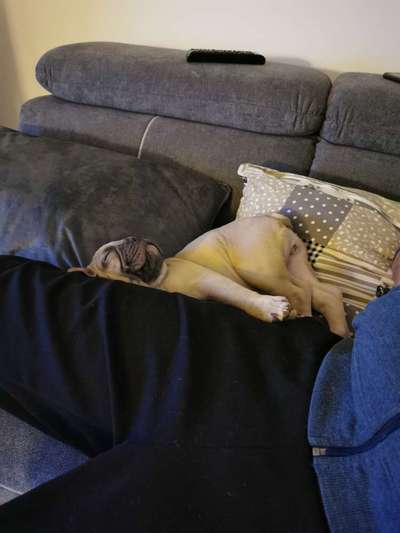 Foto Challenge Nr. 134-Beitrag-Bild