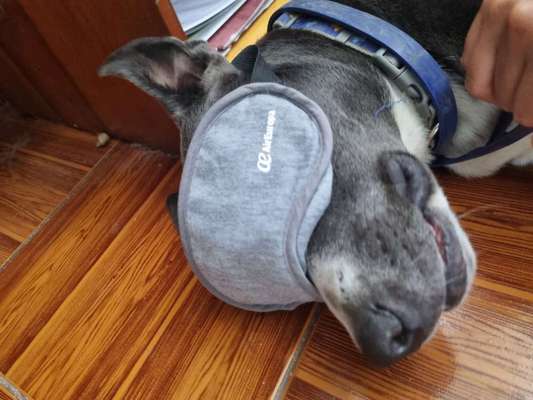 Foto Challenge Nr. 134-Beitrag-Bild