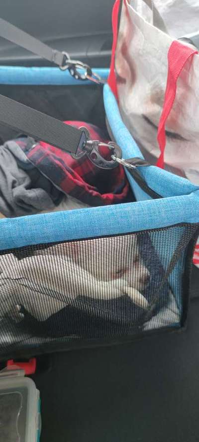 CHALLENGE NR. 18 - ON TOUR-Beitrag-Bild