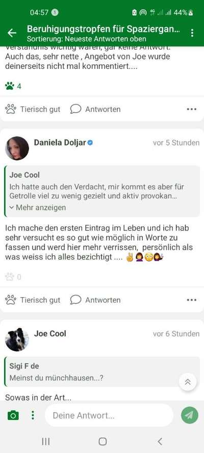 Beruhigungstropfen für Spaziergang gewöhnung für super traumatisierten Hund-Beitrag-Bild