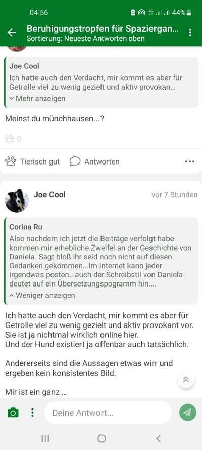 Beruhigungstropfen für Spaziergang gewöhnung für super traumatisierten Hund-Beitrag-Bild