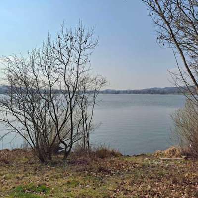 Hundetreffen-Rottauensee: Rundwanderung mit Hunden-Bild