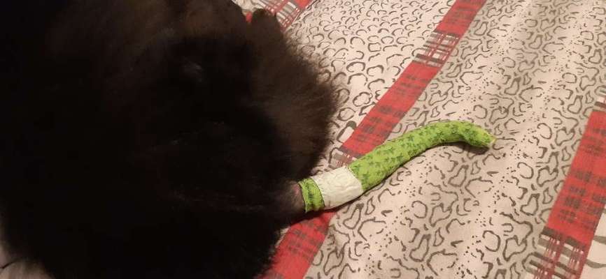 Was hat euch heute genervt?-Beitrag-Bild