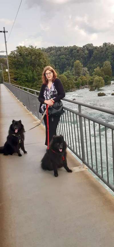 Erzählt eure Erfolgsstorys!-Beitrag-Bild