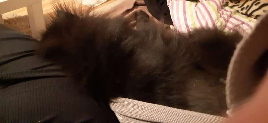 Einschätzung bitte-Beitrag-Bild