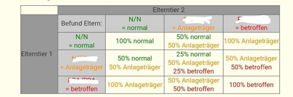 Nadel im Heuhaufen gesucht - mittelgroße Begleithunderasse-Beitrag-Bild