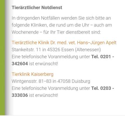 Hund Durchfall/Erbrechen mit rote Punkte-Beitrag-Bild