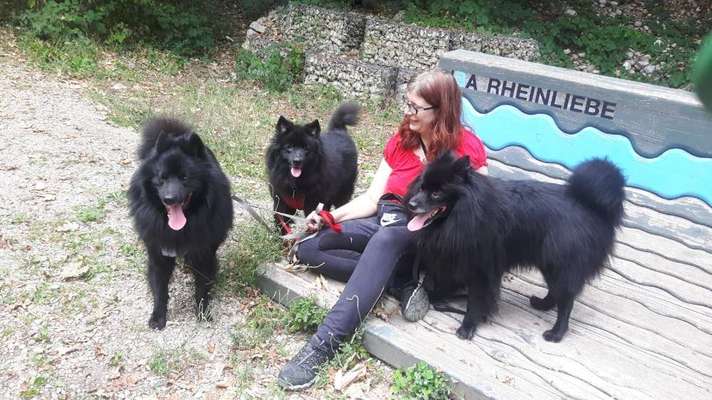 Seltene Rassen!-Beitrag-Bild