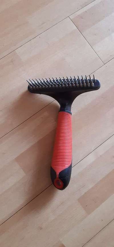 Welche Bürste für Spitz?-Beitrag-Bild