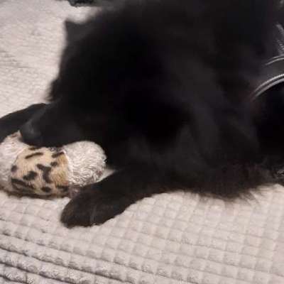 Freddys Kummerkasten-Beitrag-Bild