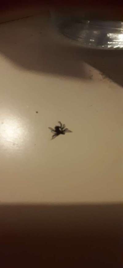 Was hat euch heute genervt?-Beitrag-Bild