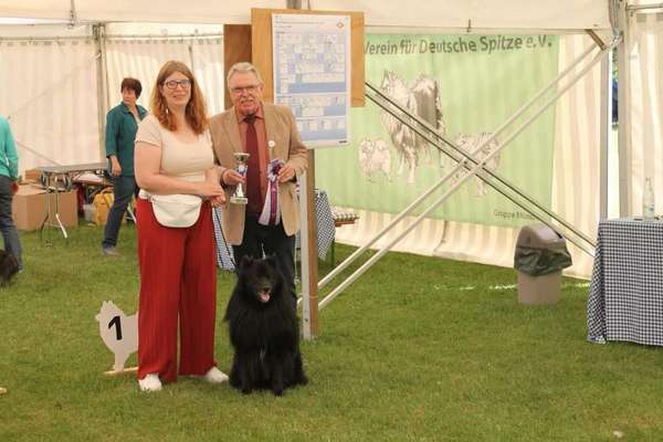 Wird zu selten entwurmt? Wurmbefall bei Hunden in Deutschland-Beitrag-Bild