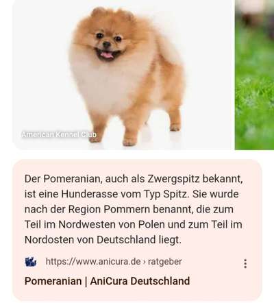 Diskussion zum neuen Entwurf des Tierschutzgesetzes....-Beitrag-Bild