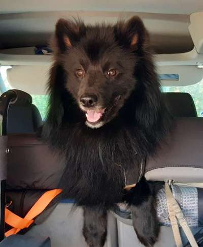 150. Foto Challaenge:  Die Augen, der Spiegel der Seele-Beitrag-Bild