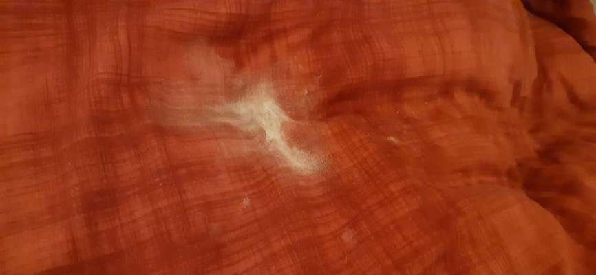 Struvit, viel Urin,keine Verbesserung-Beitrag-Bild