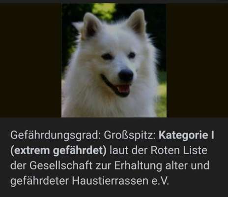 Seltene Rassen!-Beitrag-Bild