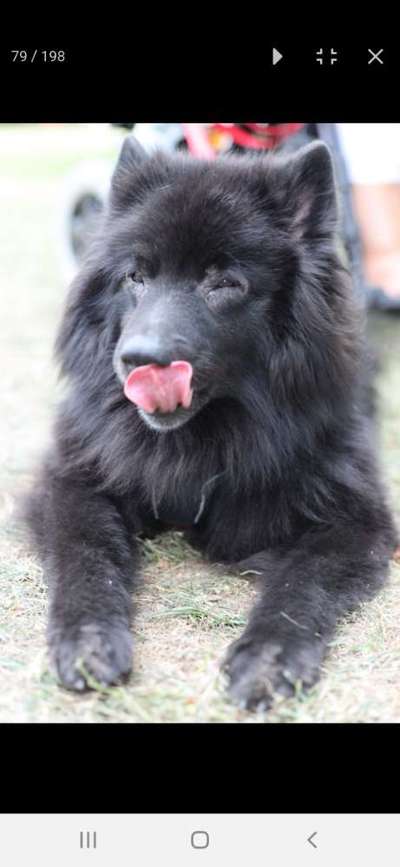 150. Foto Challaenge:  Die Augen, der Spiegel der Seele-Beitrag-Bild