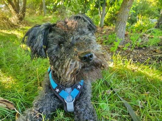 Fotochallange Nr. 57     PORTRÄT.   Beendet!!!!!!!!-Beitrag-Bild