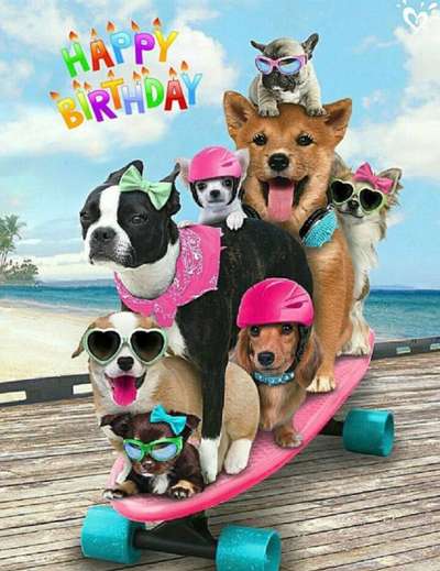 Wo sind die Golden Retriever Liebhaber?-Beitrag-Bild