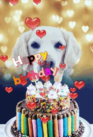 Wo sind die Golden Retriever Liebhaber?-Beitrag-Bild