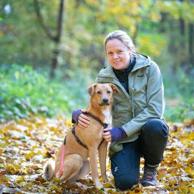 Hundeschulen-Mutpfoten Hundetraining-Bild