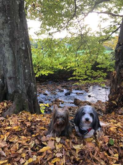 Herbst Bilder-Beitrag-Bild