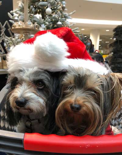 It's beginning to look a lot like.....-Beitrag-Bild