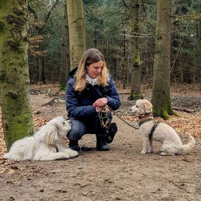 Gassi-Services-Maike's Hunde Gassi Geh Service-Bild