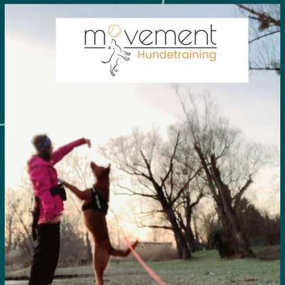 Hundeschulen-Movementhundetraining-Bild