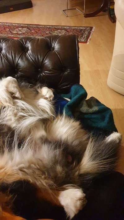 Die unbequemsten und lustigsten Schlafpositionen-Beitrag-Bild