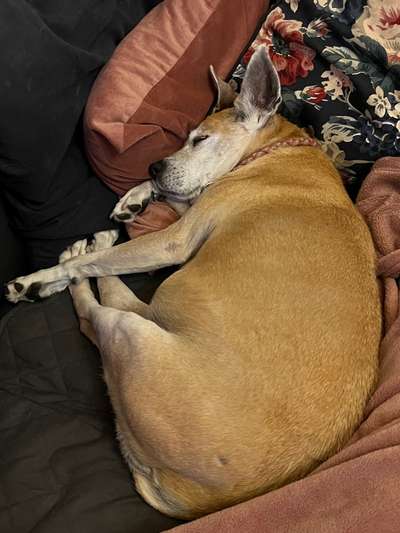 Foto Challenge Nr. 134-Beitrag-Bild