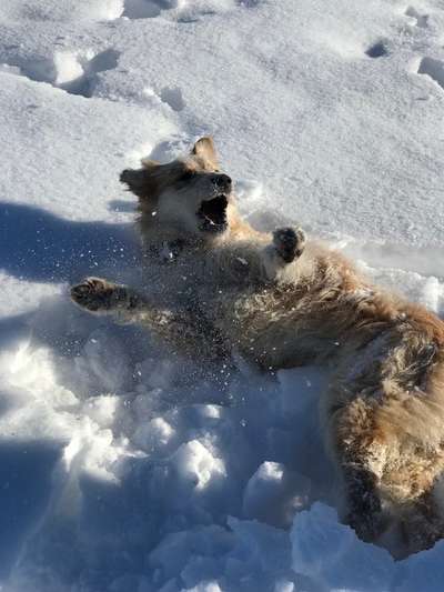 Der erste Schnee, zeigt uns eure tollen Schneemomente-Beitrag-Bild