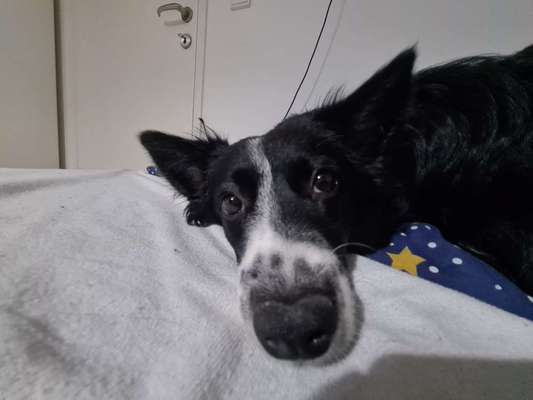 42. Handy Fotochallenge - Den richtigen Riecher haben-Beitrag-Bild